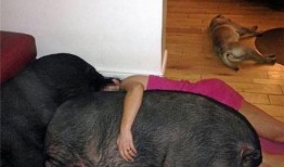 济南女生爆料吃瓜视频,揭秘背后惊人真相