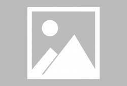 美国派2完整版在线观看,重聚校园完整版在线观看：重温青春狂放岁月